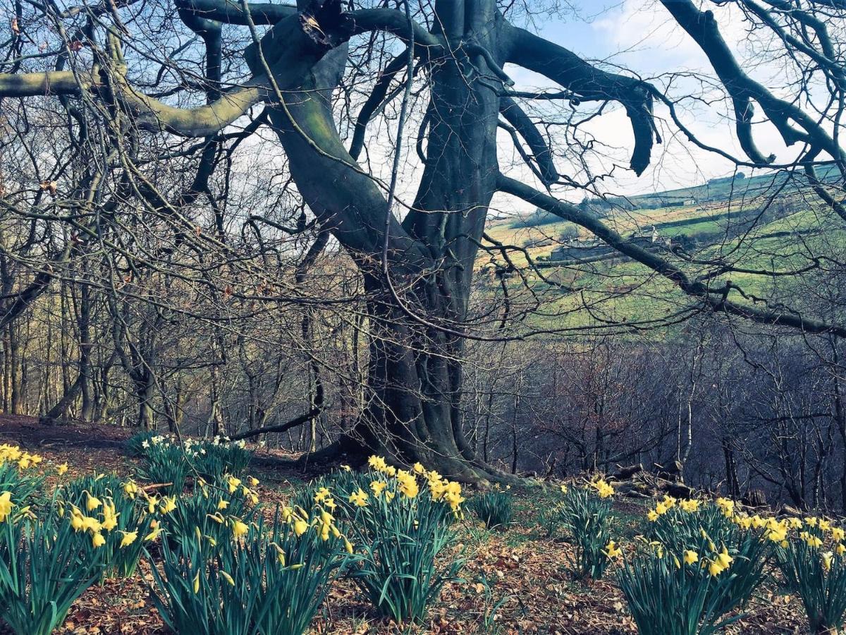 Bijou Cottage In Bronte Country With Wood-Burning Stove & Hot Tub Spa Haworth Exterior foto